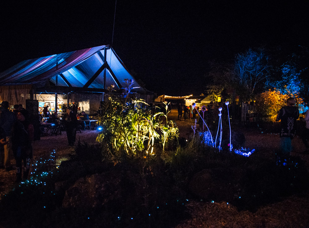 Wildwood MusicFest, photo by Chad Lanning