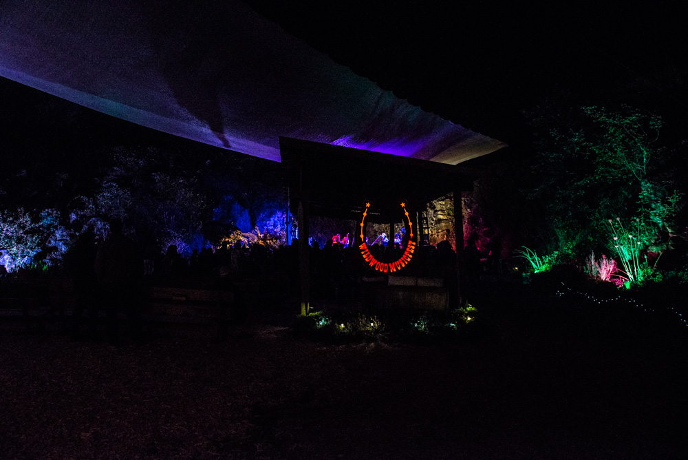 Wildwood MusicFest, photo by Chad Lanning