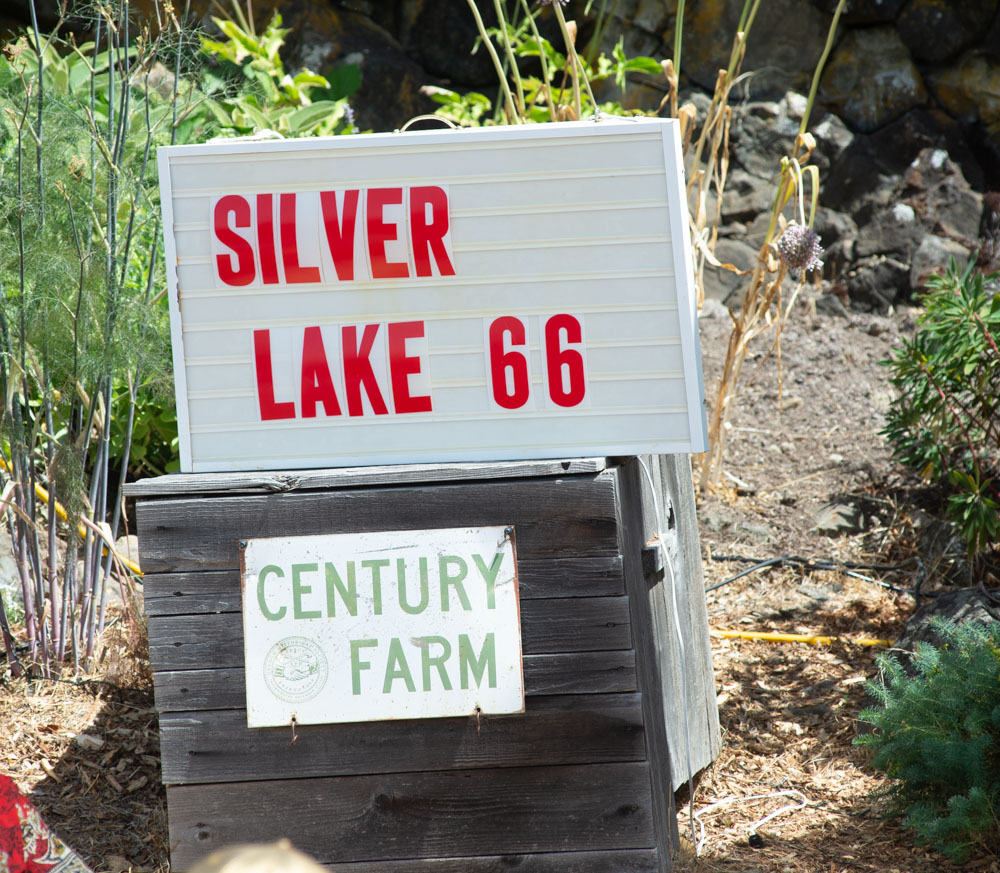 Silver Lake 66, Wildwood MusicFest, photo by Chad Lanning