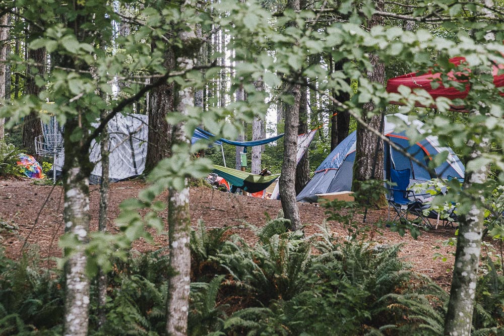 Horning's Hideout, Northwest String Summit, photo by Blake Sourisseau