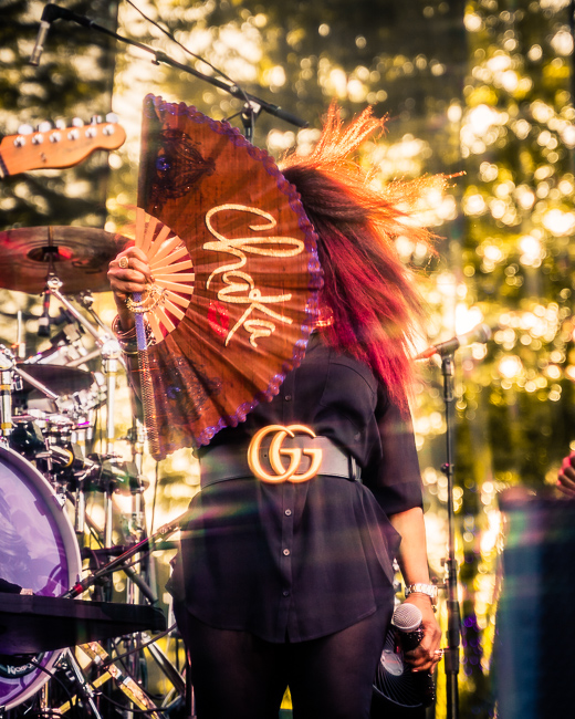 Chaka Khan, Oregon Zoo Amphitheatre, photo by Miguel Padilla