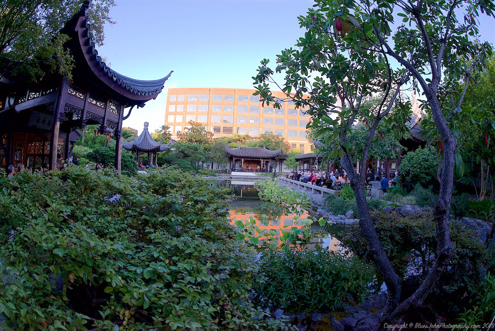 Hailey Niswanger, Lan Su Chinese Garden, photo by John Alcala