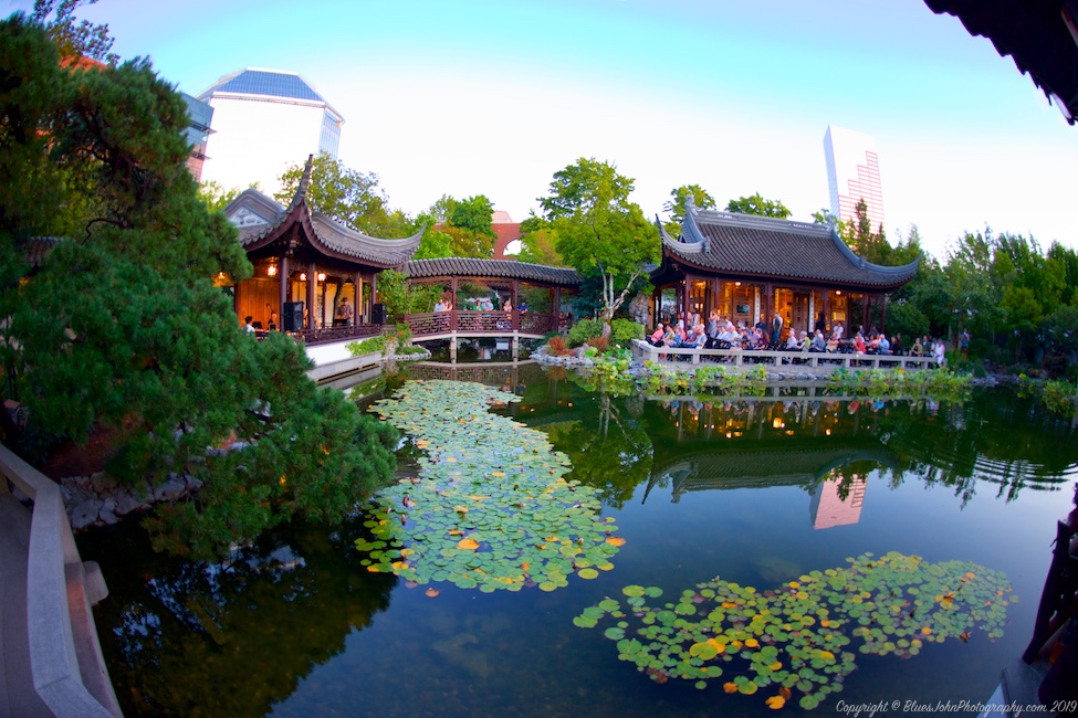 Hailey Niswanger, Lan Su Chinese Garden, photo by John Alcala