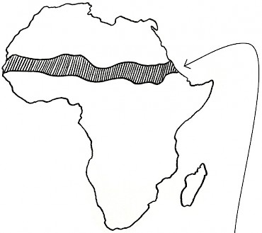 The Sahel is a semi-arid band of land that runs across Africa separating the Sahara desert and the tropical Sudanian Savanna
