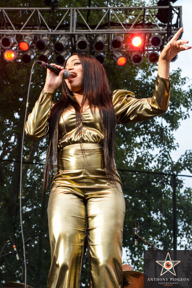 Booker T. Jones, Edgefield Amphitheater, photo by Anthony Pidgeon