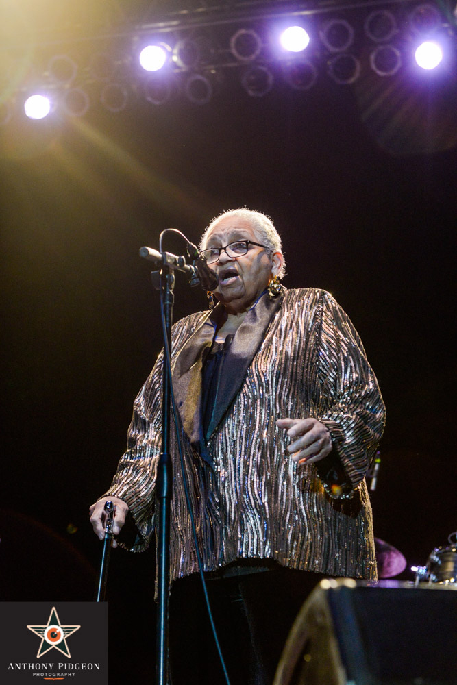 Pink Martini, Edgefield Amphitheater, photo by Anthony Pidgeon