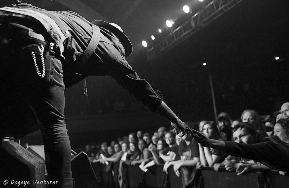Wild the Coyote, Badd Wolf, Roseland Theater, photo by Ashley Strom