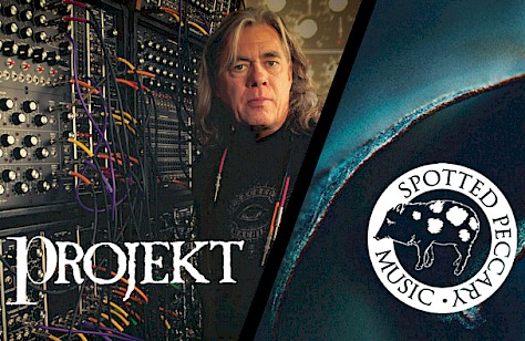 projekt-spotted.jpg