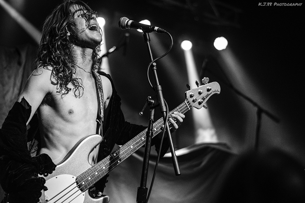 The Darbies, Bossanova Ballroom, photo by Kevin Pettigrew