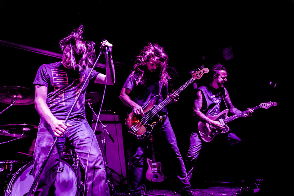 Night Swim, The High Water Mark, photo by Kris Luke