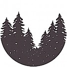 Stray Pines Recording