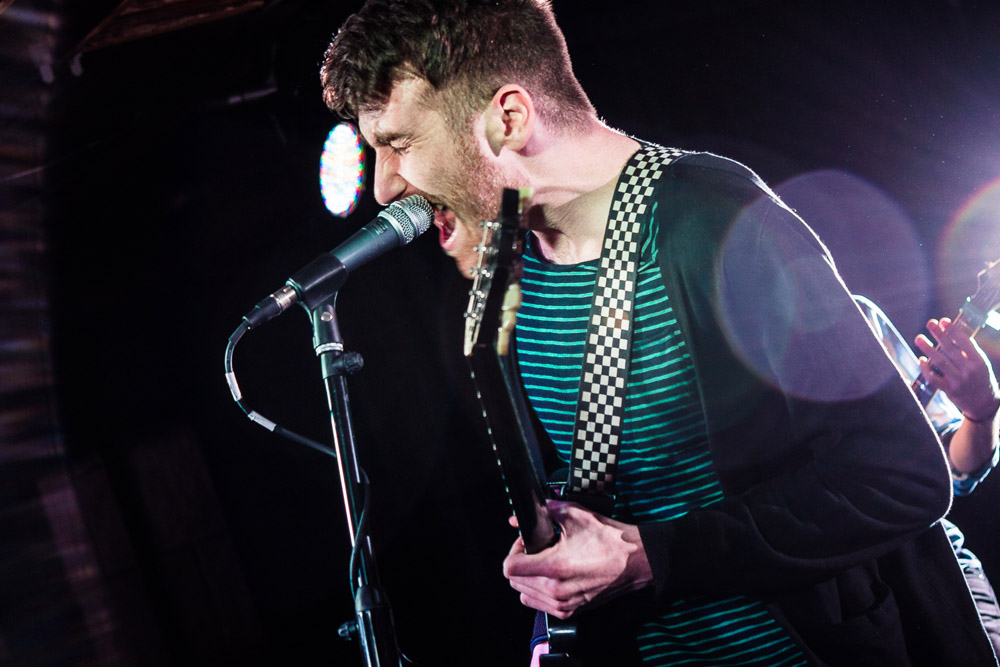 Icarus The Owl, The Analog Cafe [CLOSED], photo by Corey Terrill