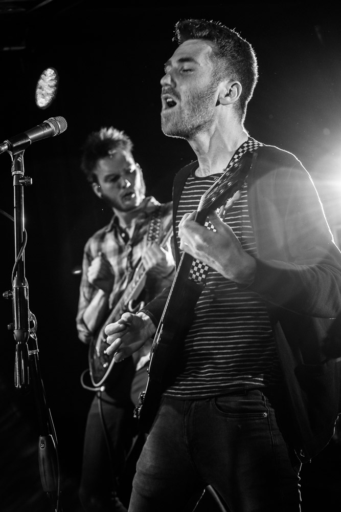 Icarus The Owl, The Analog Cafe [CLOSED], photo by Corey Terrill