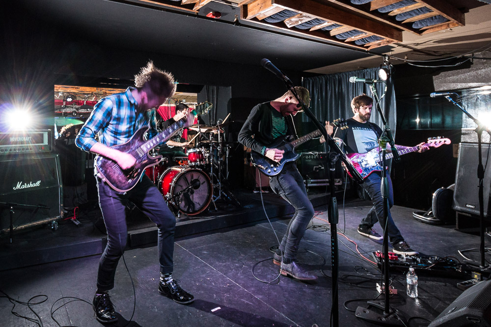 Icarus The Owl, The Analog Cafe [CLOSED], photo by Corey Terrill