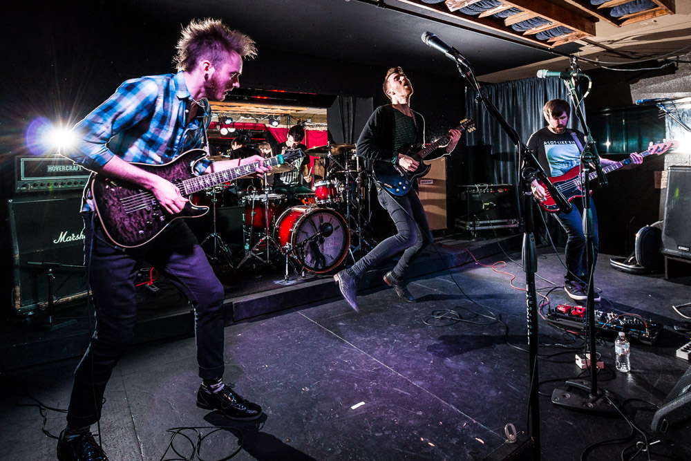 Icarus The Owl, The Analog Cafe [CLOSED], photo by Corey Terrill