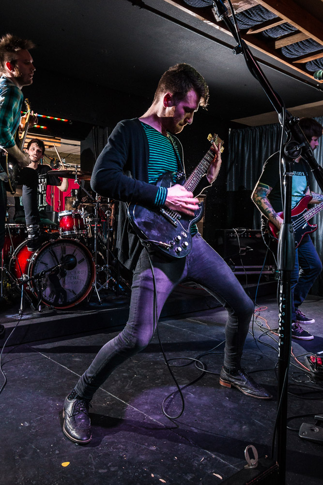 Icarus The Owl, The Analog Cafe [CLOSED], photo by Corey Terrill