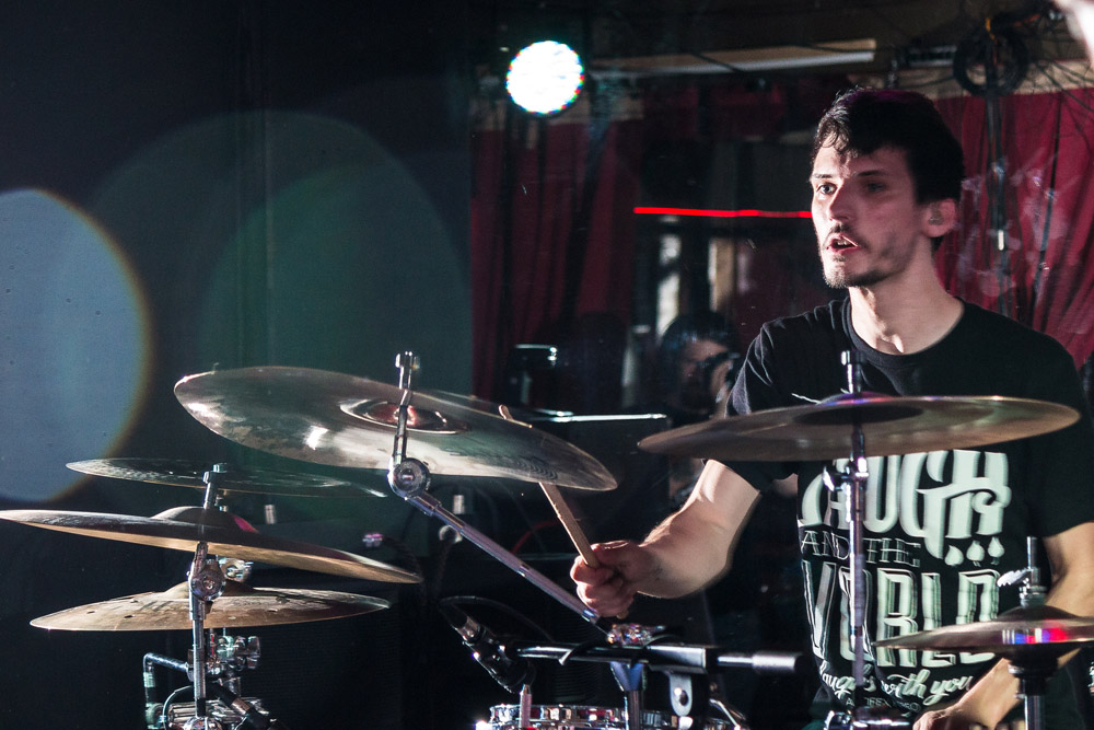 Icarus The Owl, The Analog Cafe [CLOSED], photo by Corey Terrill