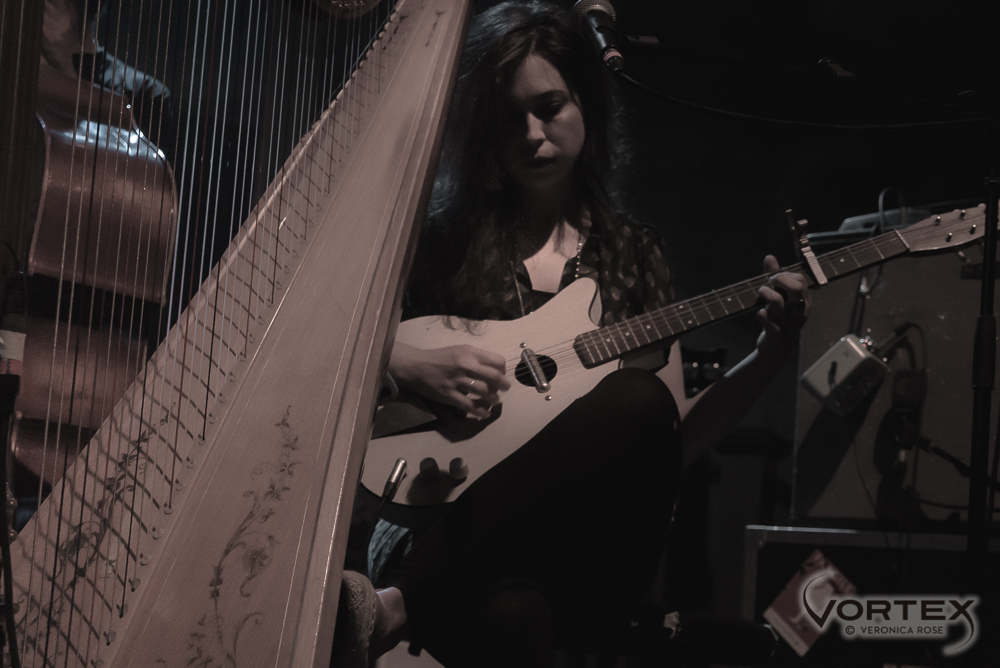 The Barr Brothers, Crystal Ballroom, photo by Veronica Rose