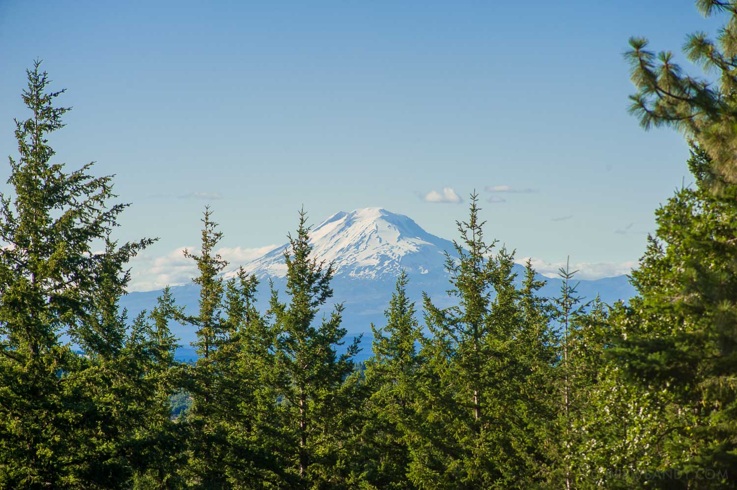 What The Festival, photo by Drew Bandy
