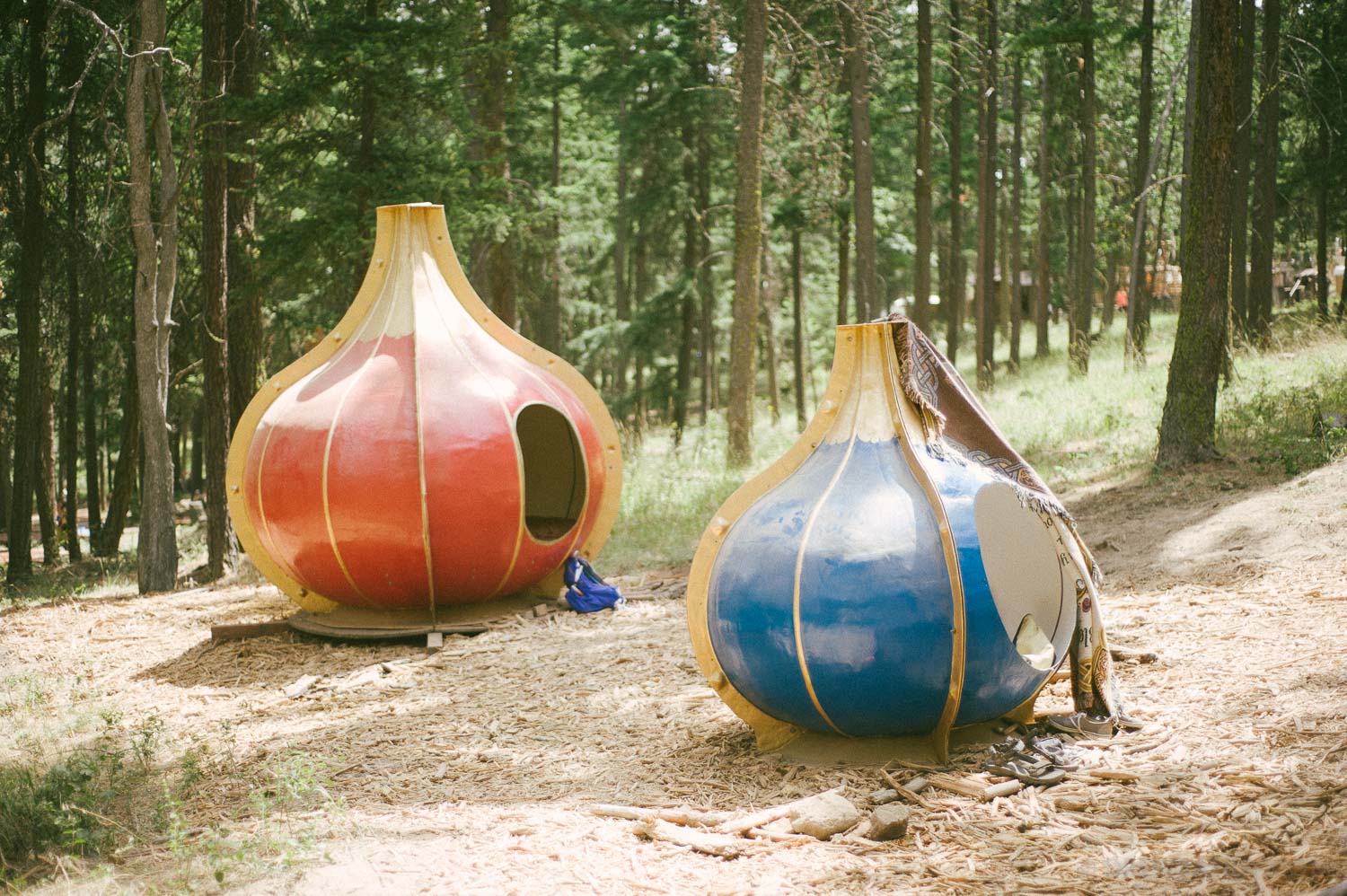 What The Festival, photo by Drew Bandy