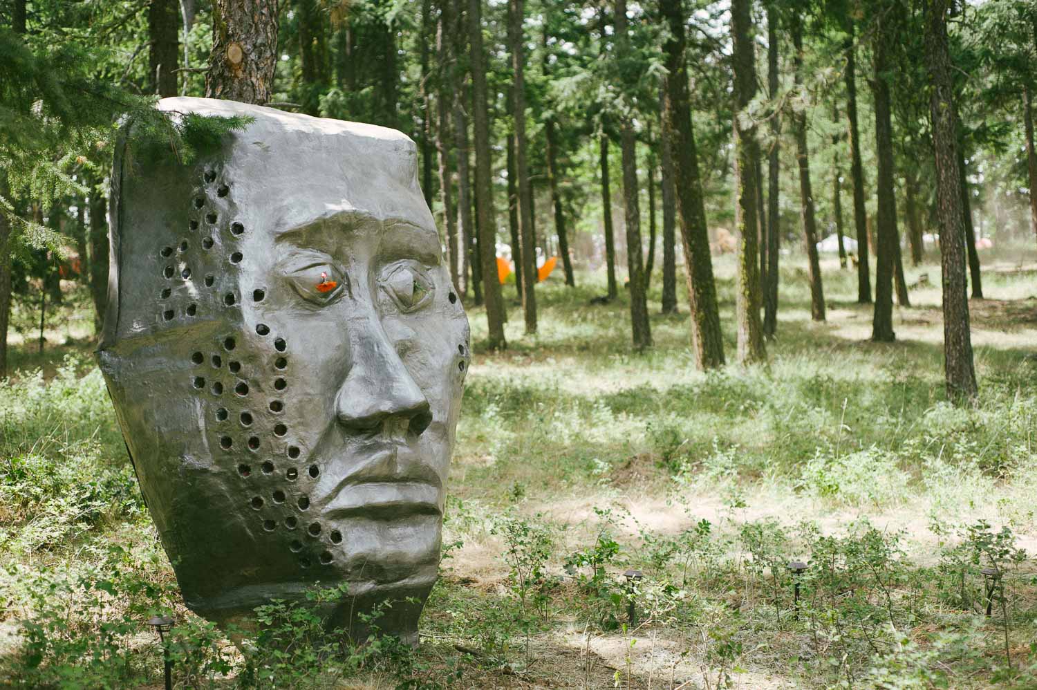 What The Festival, photo by Drew Bandy