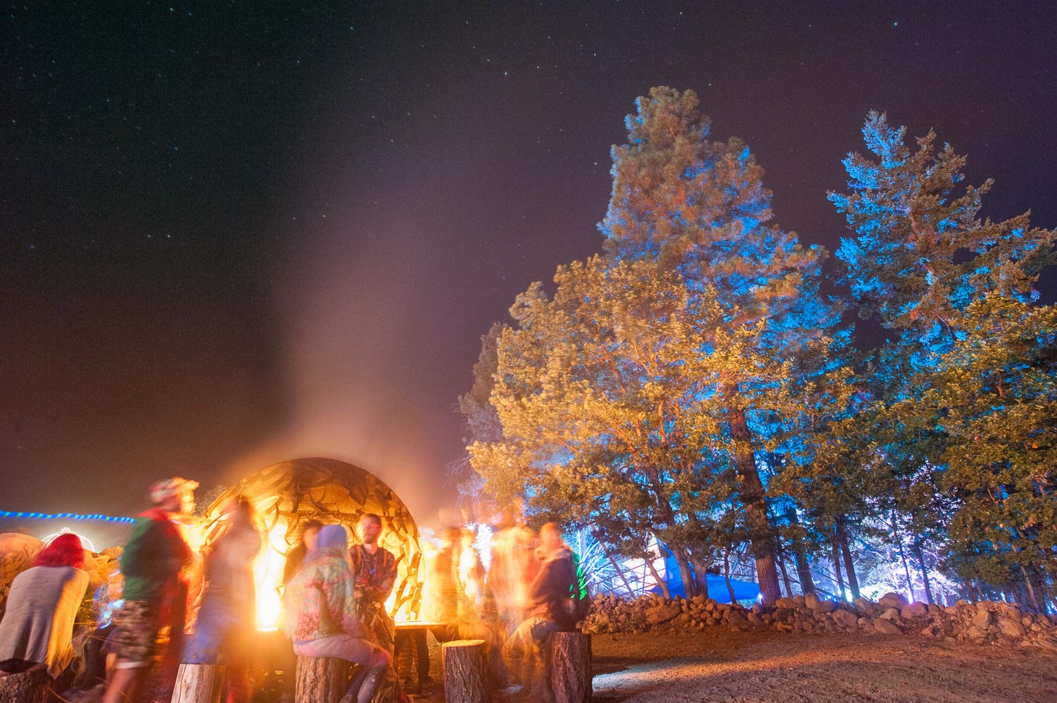 What The Festival, photo by Drew Bandy