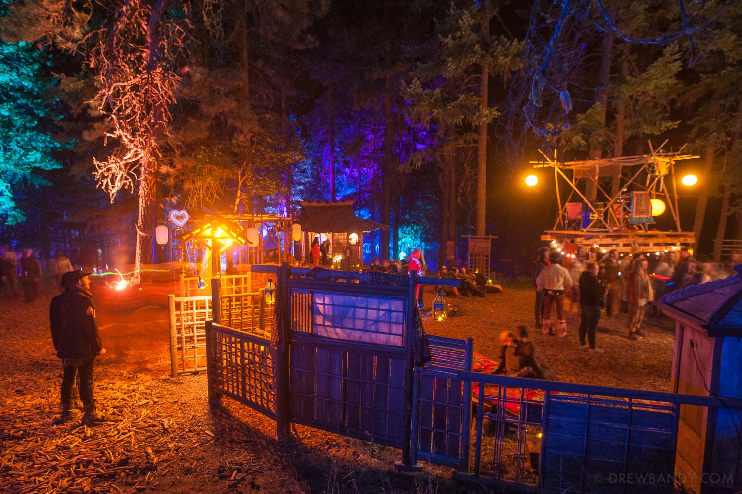 What The Festival, photo by Drew Bandy