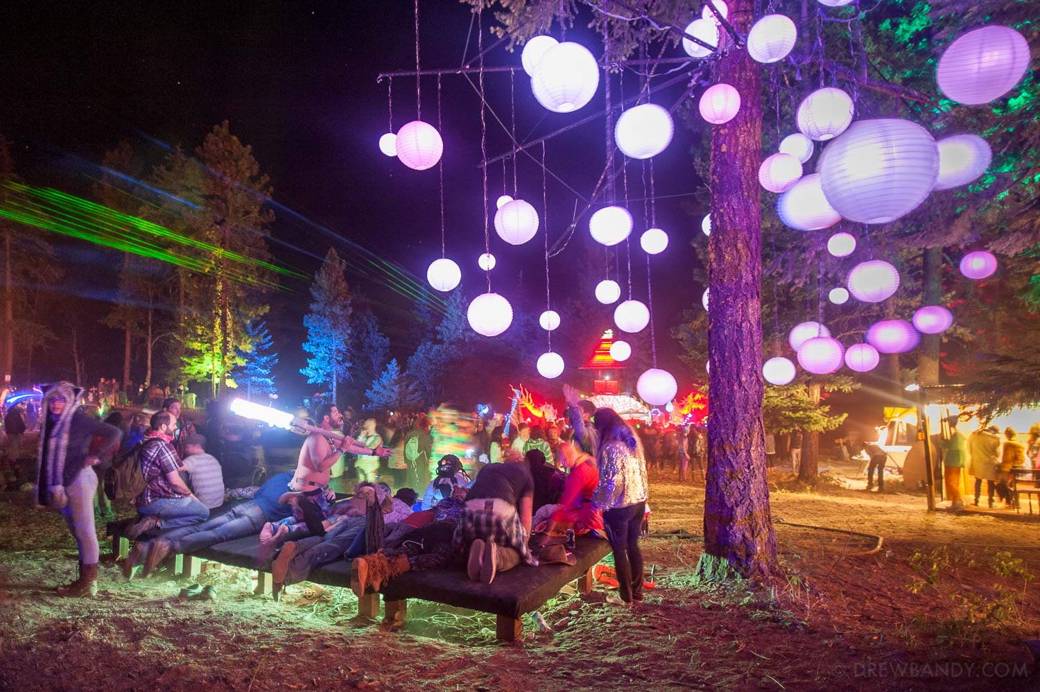 What The Festival, photo by Drew Bandy