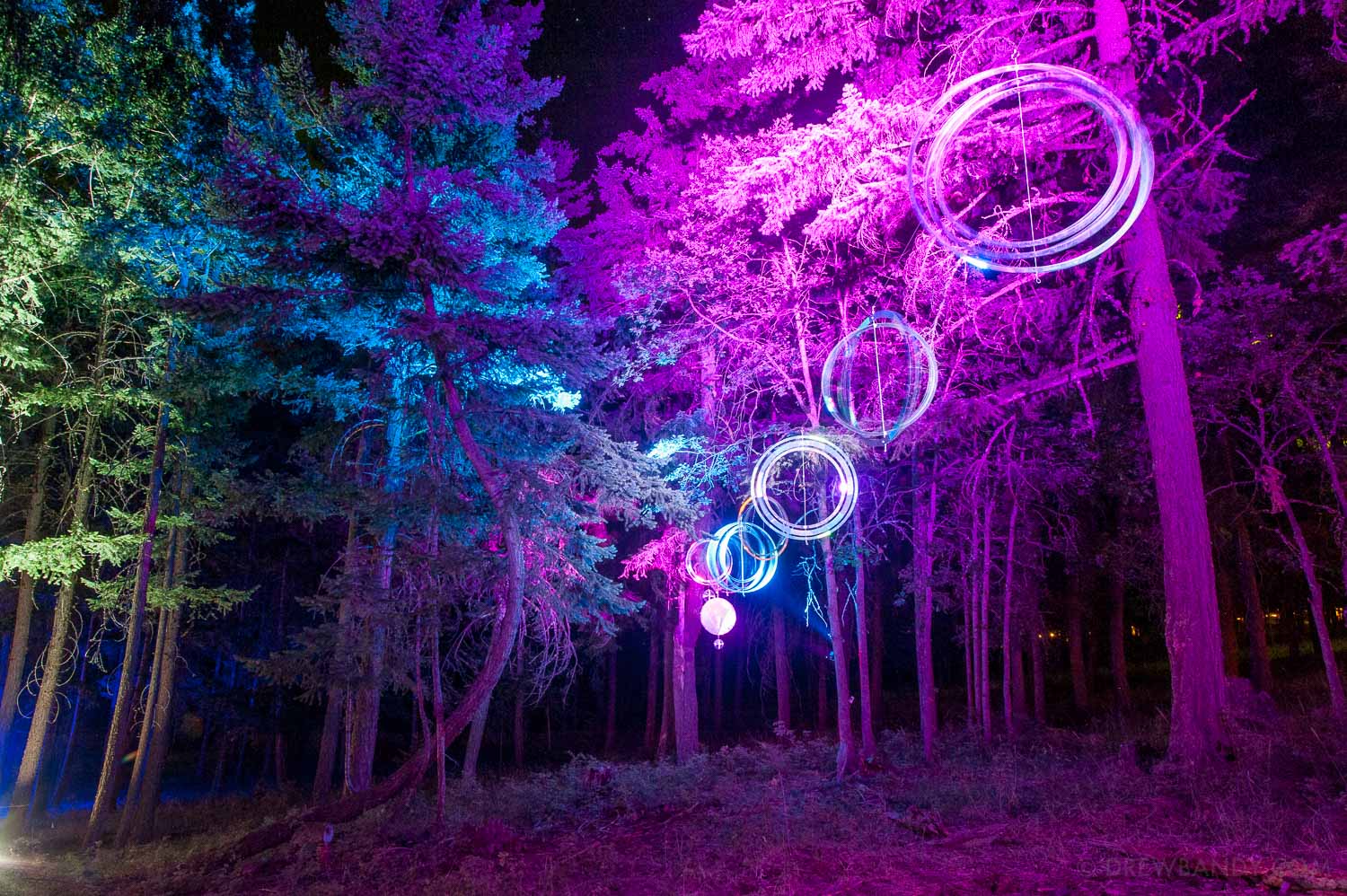 What The Festival, photo by Drew Bandy