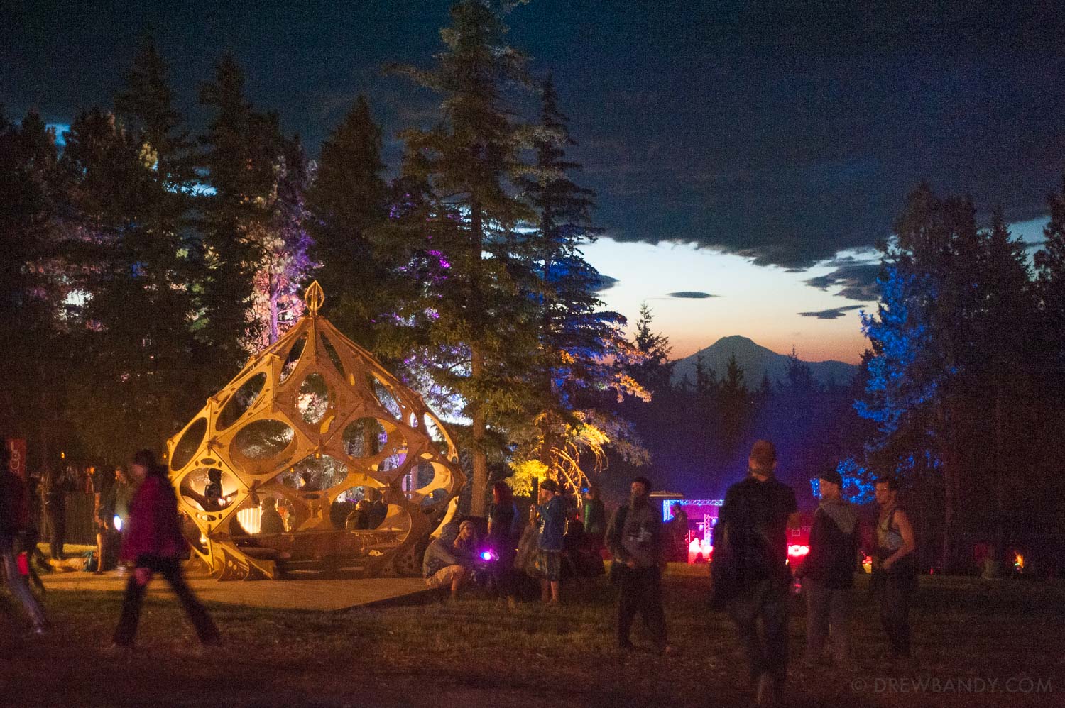 What The Festival, photo by Drew Bandy