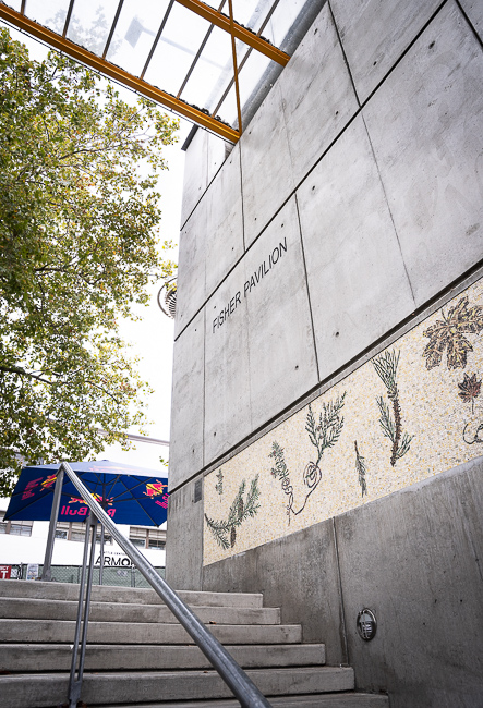 Day In Day Out, photo by Sal Barragan