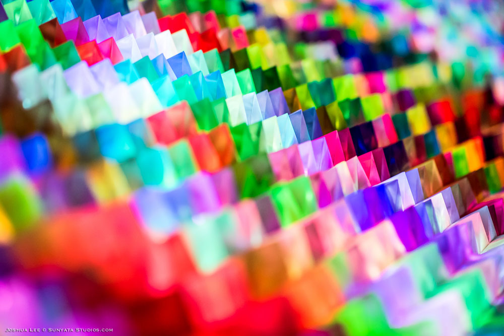 What The Festival, photo by Joshua Lee