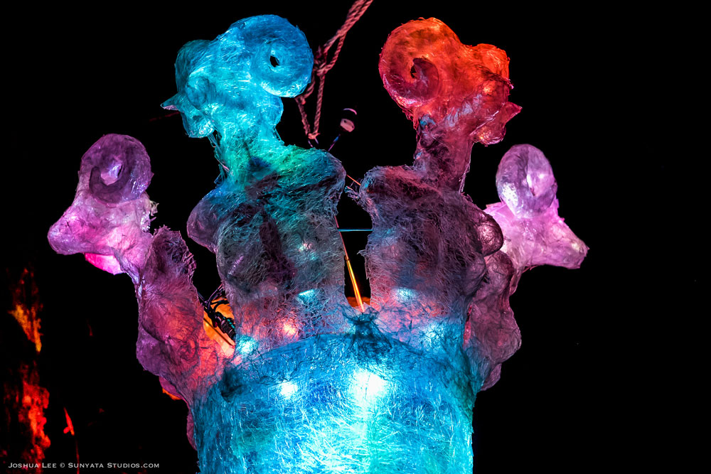 What The Festival, photo by Joshua Lee