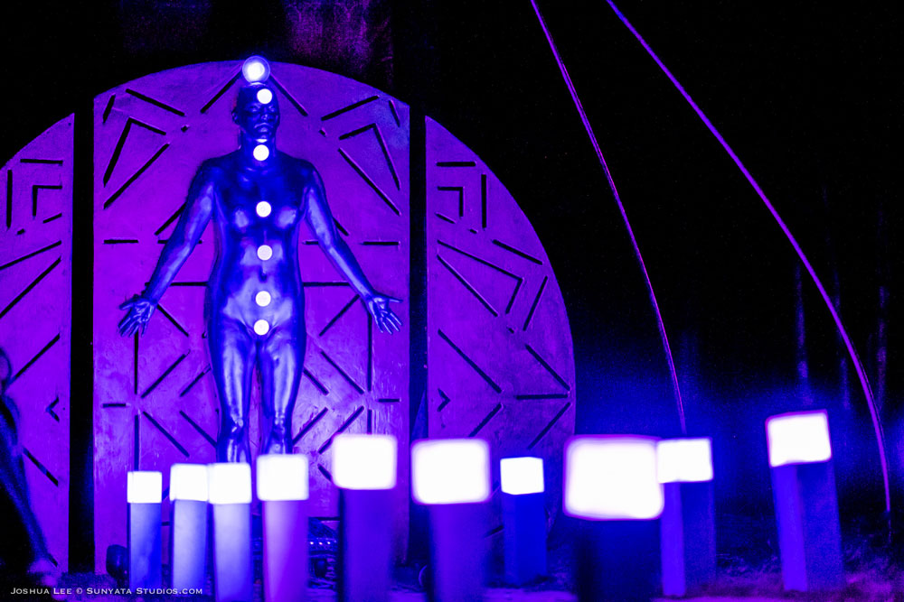 What The Festival, photo by Joshua Lee