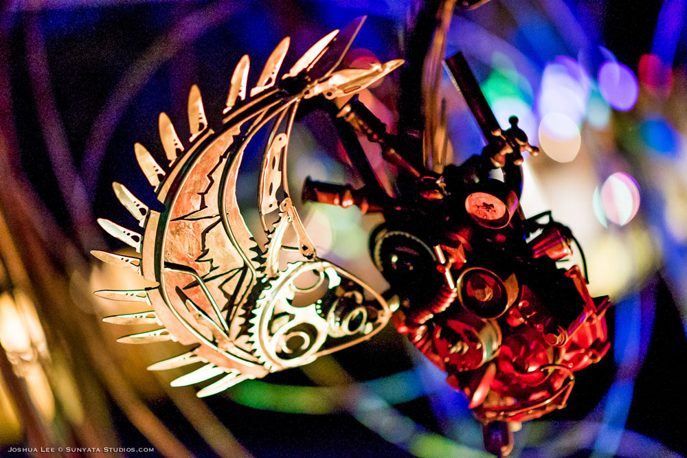 What The Festival, photo by Joshua Lee