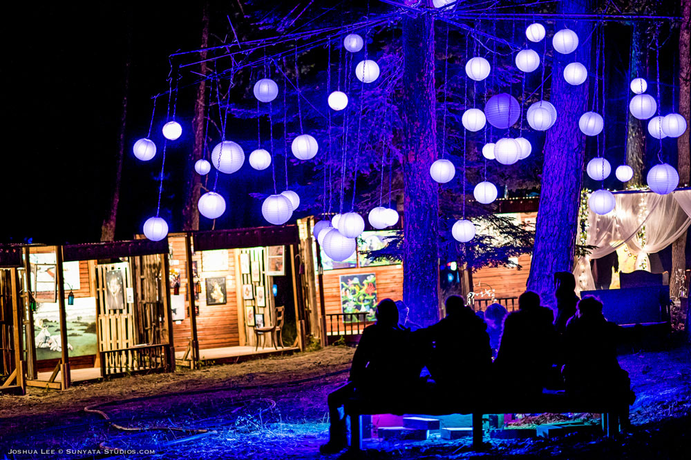 What The Festival, photo by Joshua Lee