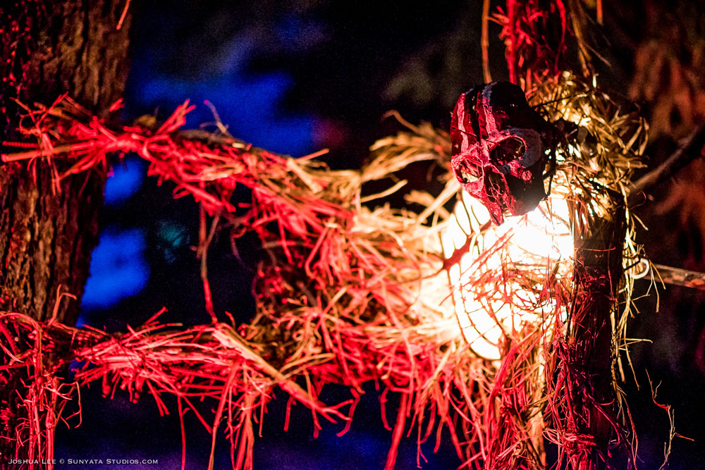 What The Festival, photo by Joshua Lee