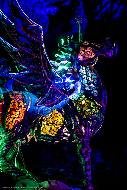 What The Festival, photo by Joshua Lee