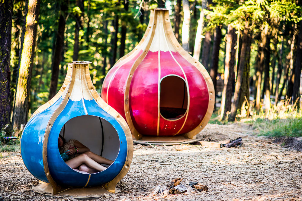 What The Festival, photo by Joshua Lee