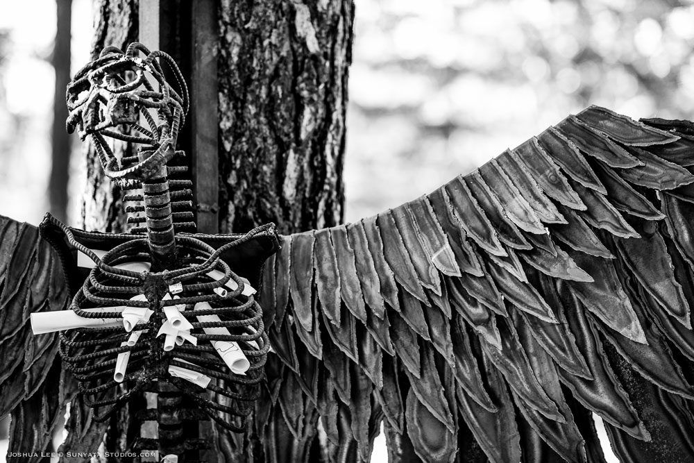 What The Festival, photo by Joshua Lee