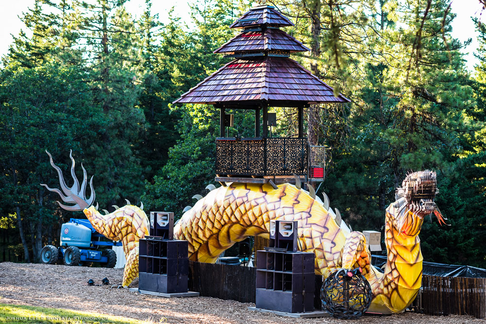 What The Festival, photo by Joshua Lee