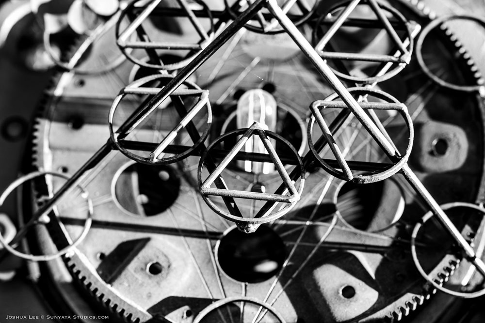 What The Festival, photo by Joshua Lee