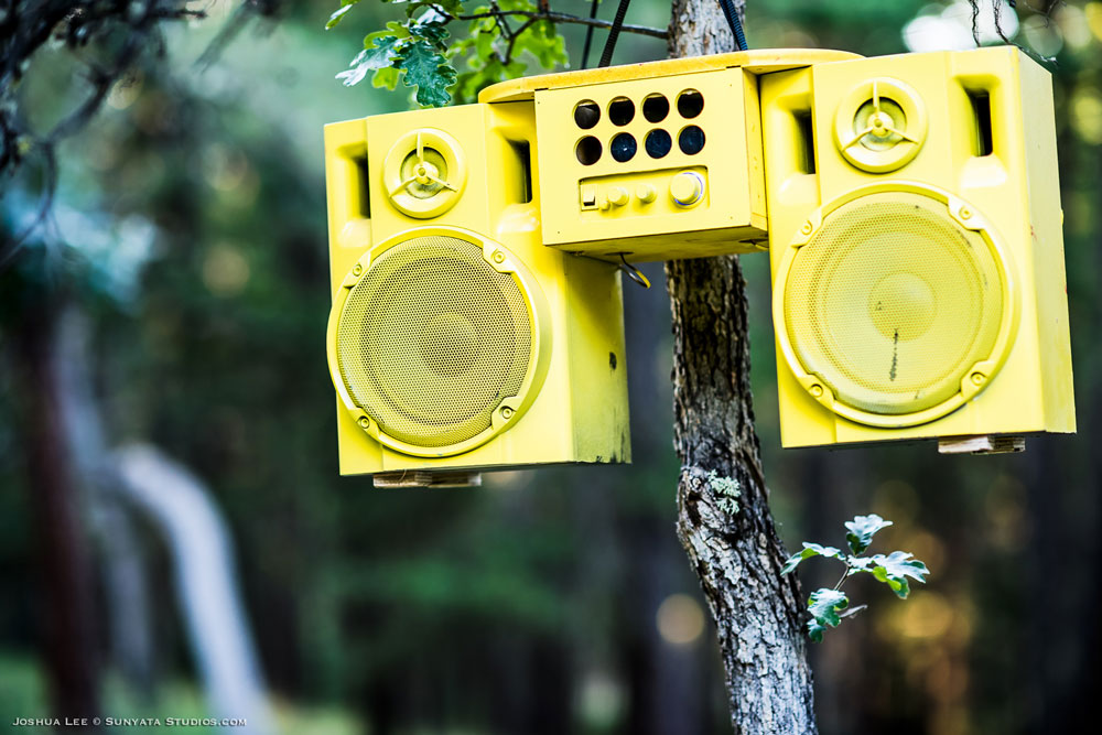 What The Festival, photo by Joshua Lee