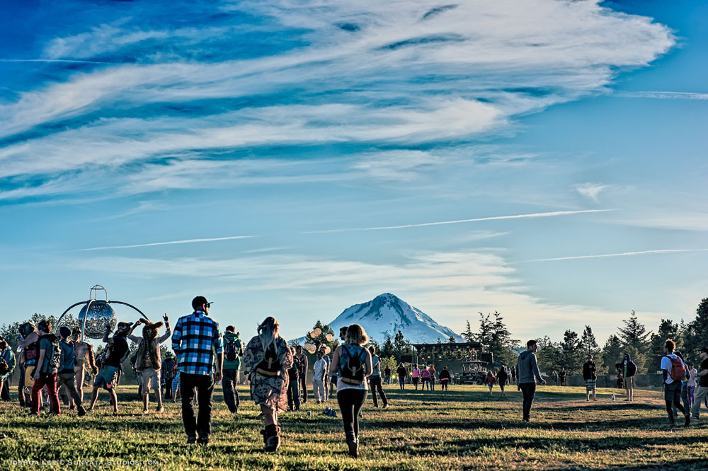 What The Festival, photo by Joshua Lee