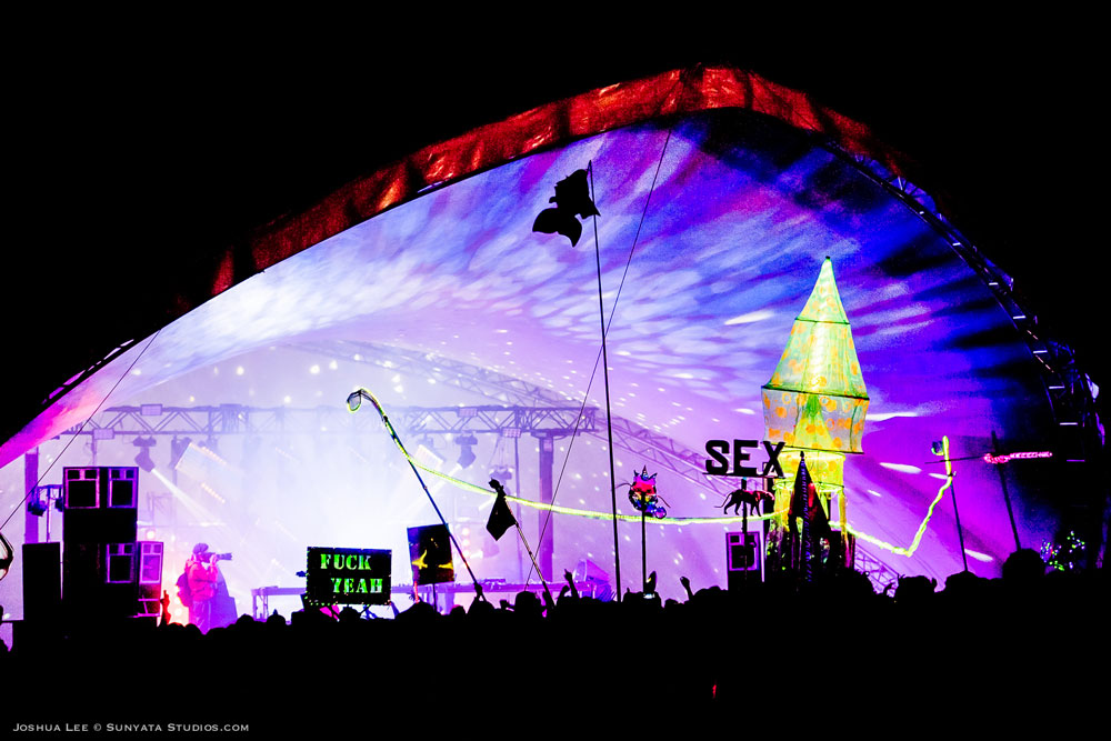 What The Festival, photo by Joshua Lee