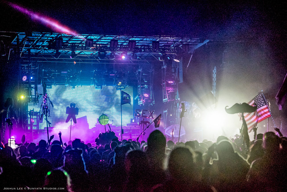 What The Festival, photo by Joshua Lee