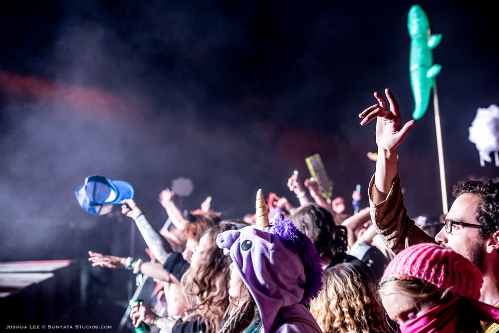 What The Festival, photo by Joshua Lee