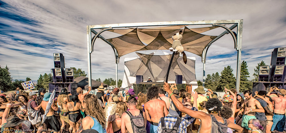 What The Festival, photo by Joshua Lee