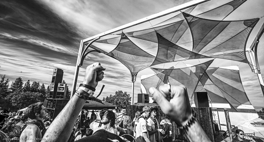 What The Festival, photo by Joshua Lee