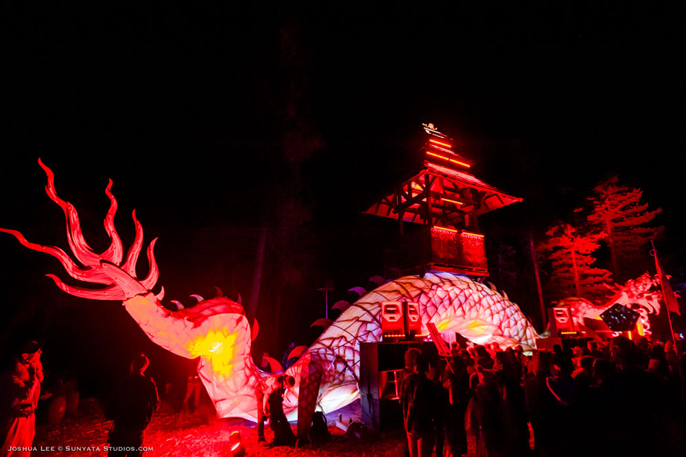 What The Festival, photo by Joshua Lee